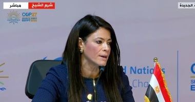 وزارة التعاون الدولى تناقش الاكتتاب فى زيادة رأس مال مؤسسة التمويل الدولية