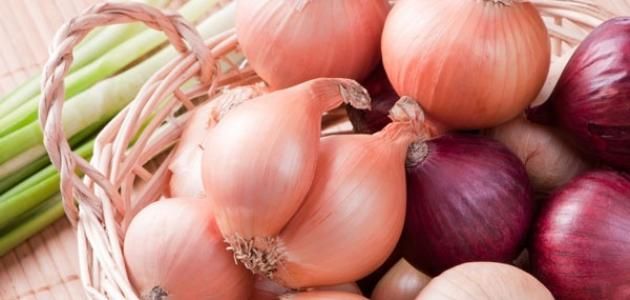 الامارات | منها وقاية العظام.. 6 أسباب ستدفعك لتناول البصل يوميًا