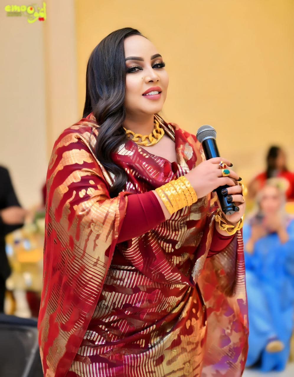 شاهد بالفيديو.. وسط حضور حاشد من المعازيم.. الفنانة هدى عربي تحيي حفل أسطوري لدكتور ودكتورة سودانيين بأفخم الفنادق بالقاهرة