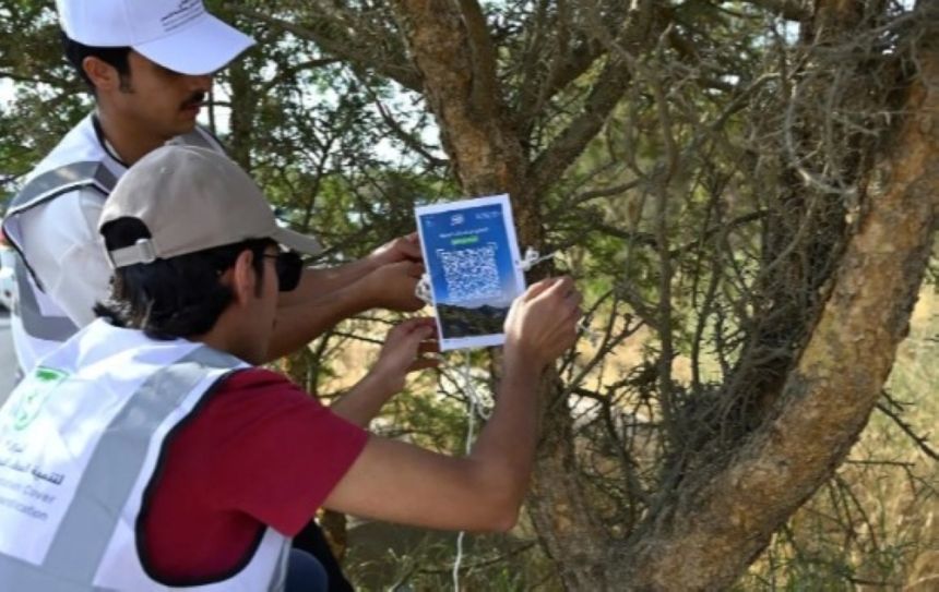 صور.. إطلاق مبادرة "تراها أجمل" ضمن فعاليات صيف السعودية