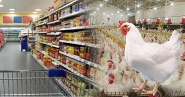 بورصة الدواجن فى مصر .. تحرك جديد بالأسواق