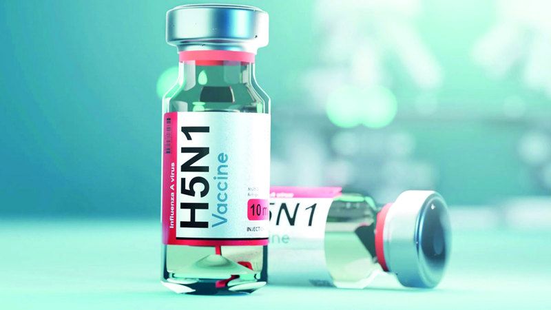 الامارات | مشروع عالمي لتطوير لقاح ضد «أنفلونزا الطيور البشرية»