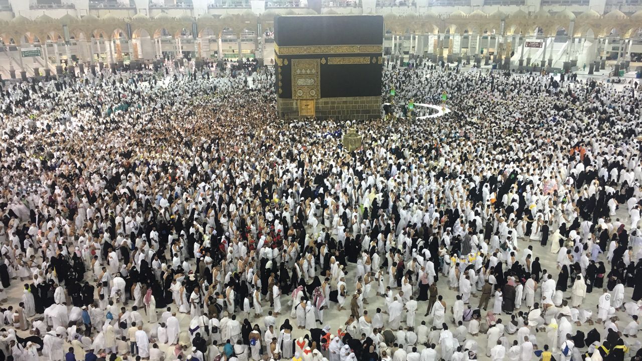 الامارات | نتائج شكاوى (حجاج الدولة 2024): إلغاء تراخيص 4 حملات للحج وتغريم 19 حملة أخرى