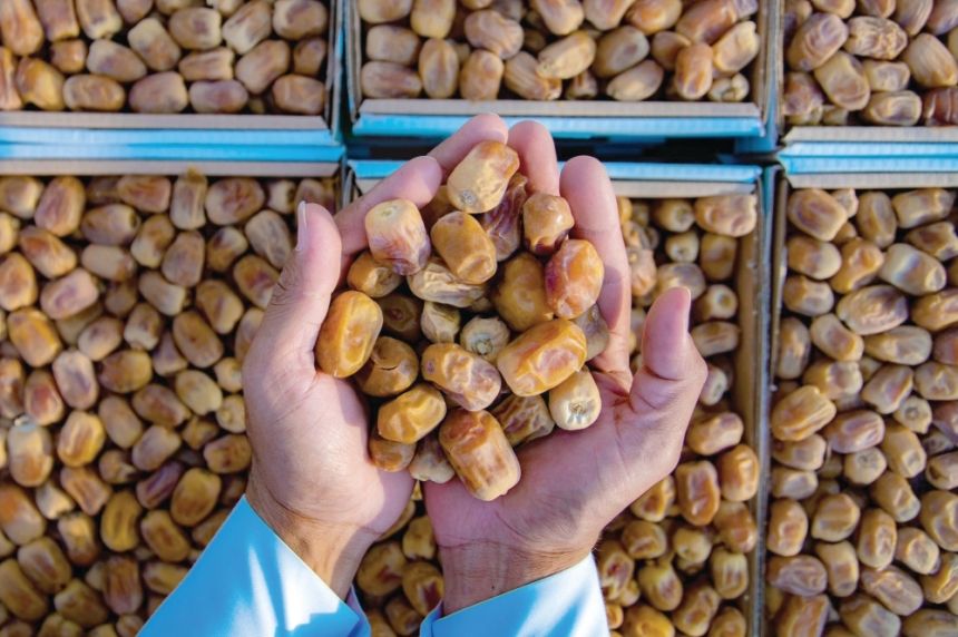 الأضخم بالشرق الأوسط.. كرنفال بريدة للتمور يستقبل بواكير موسم الحصاد