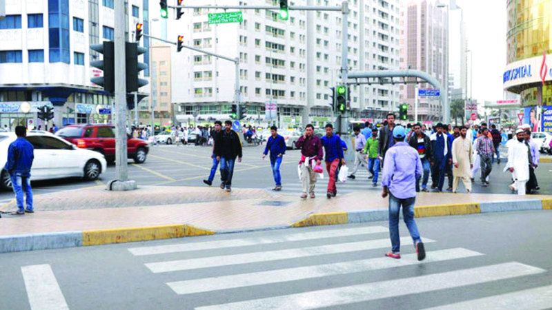 الامارات | العبور العشوائي  أبرز أسباب حوادث الدهس على الطرق