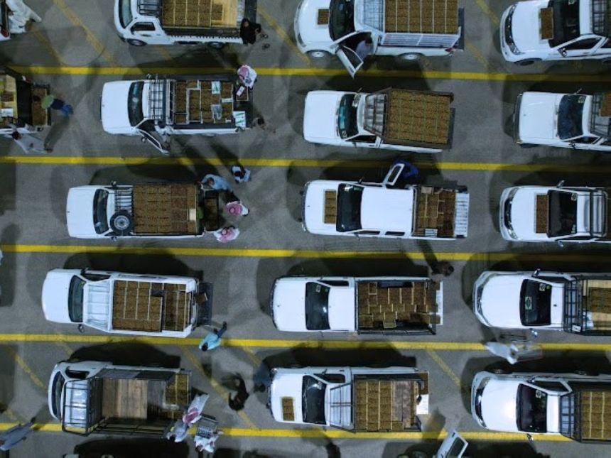 الأضخم بالشرق الأوسط.. كرنفال بريدة للتمور يستقبل بواكير موسم الحصاد