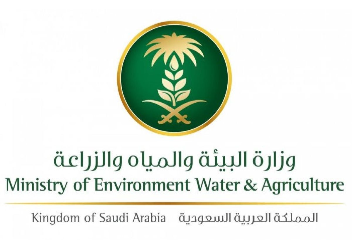“البيئة”: المملكة تحقق الاكتفاء الذاتي من التين بنسبة 111% وجازان والرياض تتصدران بإنتاج 10 آلاف و8 آلاف طن سنويًا
