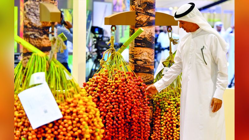 الامارات | «دبي للرطب» في نسخته الأولى.. حُب مستدام للنخلة