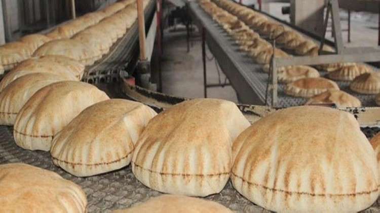 مصر تتحرك لشراء “أكبر كمية قمح” في تاريخها