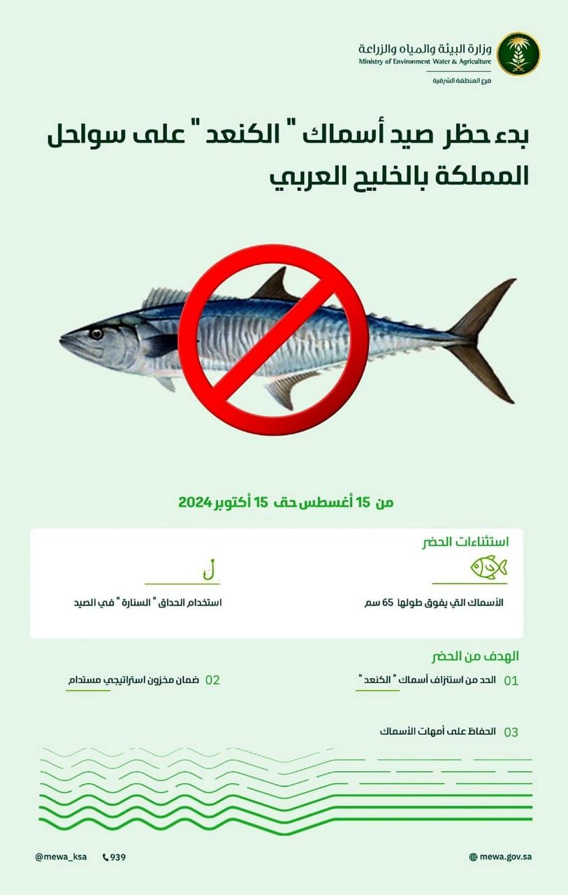 الخميس المقبل.. بدء سريان حظر صيد أسماك الكنعد بسواحل المنطقة الشرقية