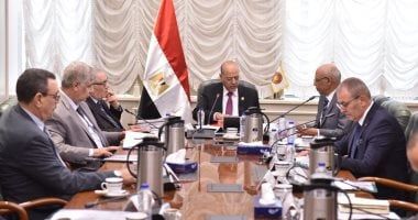 وزير العمل: 236 مليون جنيه أنفقها صندوق تمويل التدريب منذ تأسيسه على المنظومة