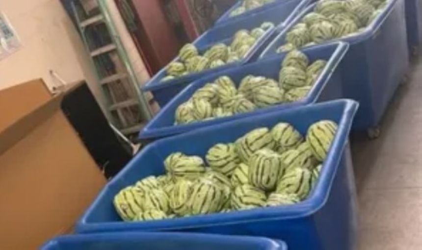 أمريكا.. مصادرة طنين من مادة الميثامفيتامين مخبأة داخل بطيخ