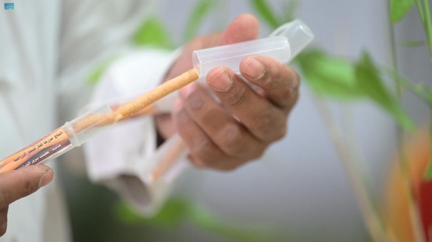 مهرجان المنتجات الزراعية.. مزارعو تيماء يقدمون تجارب نوعية للمحاصيل