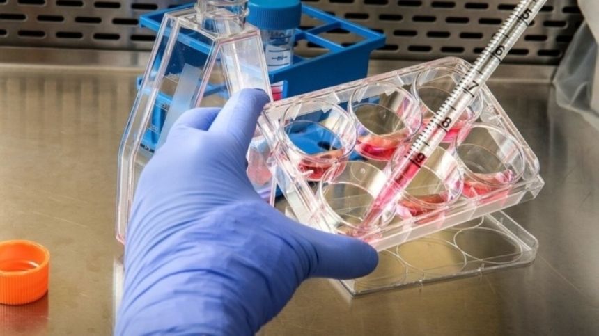 الكونغو: الأطفال الذين يتوفون بسبب جدري القرود ليسوا أول من يحصل على اللقاح