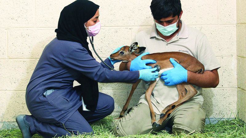الامارات | كوادر نسائية إماراتية تحمي الحياة البرية