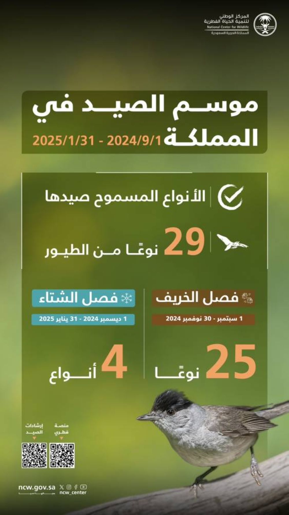انطلاق موسم الصيد في السعودية لعام 2024م