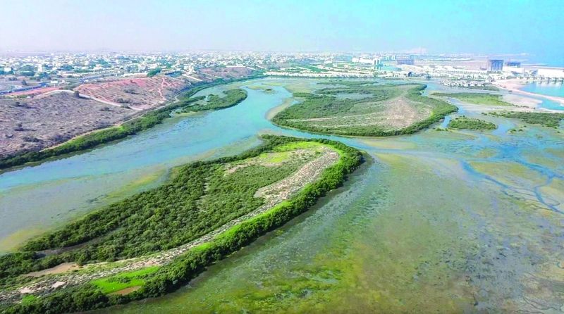 الامارات | محمية خور المزاحمي.. واجهة الموائل الطبيعية والتنوع البيولوجي في رأس الخيمة