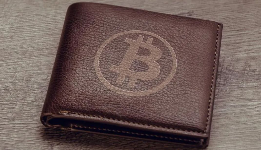 محافظ البيتكوين التي تحتوي على أكثر من 100 بيتكوين تصل إلى أعلى مستوى لها