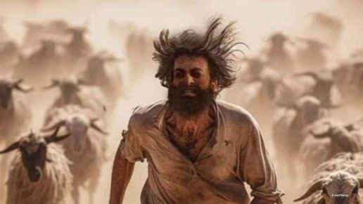 “حياة الماعز” و”الماذاعنية” بالسعودية.. تعليق حقوقي على الفيلم الجدلي