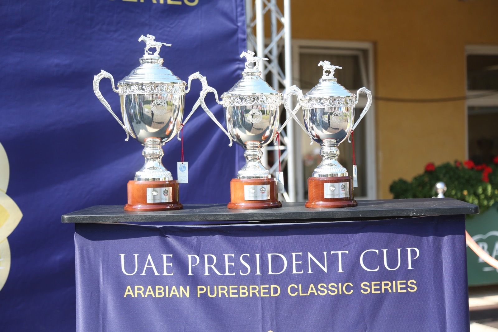 الامارات | لأول مرة.. انطلاق كأس رئيس الدولة للخيول العربية الأصيلة بمحطته الـ10 في تركيا غدا