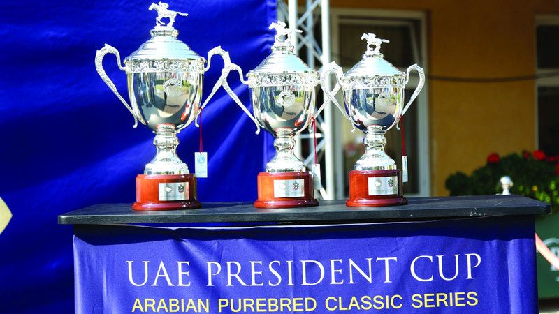 الامارات | كأس رئيس الدولة للخيول العربية الأصيلة تنطلق في تركيا اليوم