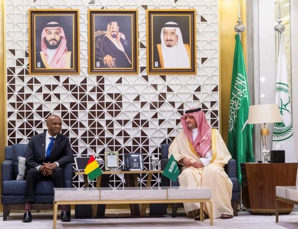 وزير الداخلية ونظيره الغيني يبحثان تعزيز التعاون الأمني بين البلدين