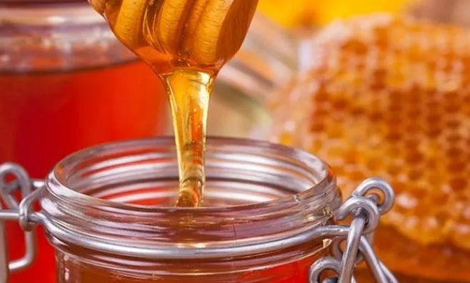 الامارات | دراسة: إضافة العسل للزبادي يحمي البكتيريا المفيدة فيها ويساعد صحيا