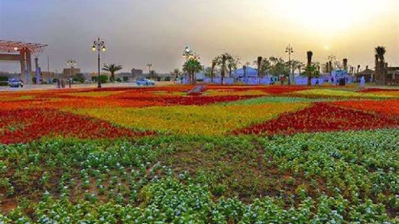 المملكة تُعلن توطين زراعة الورد لتلبية الطلب المتزايد وفتح أسواقٍ جديدة لتصديره