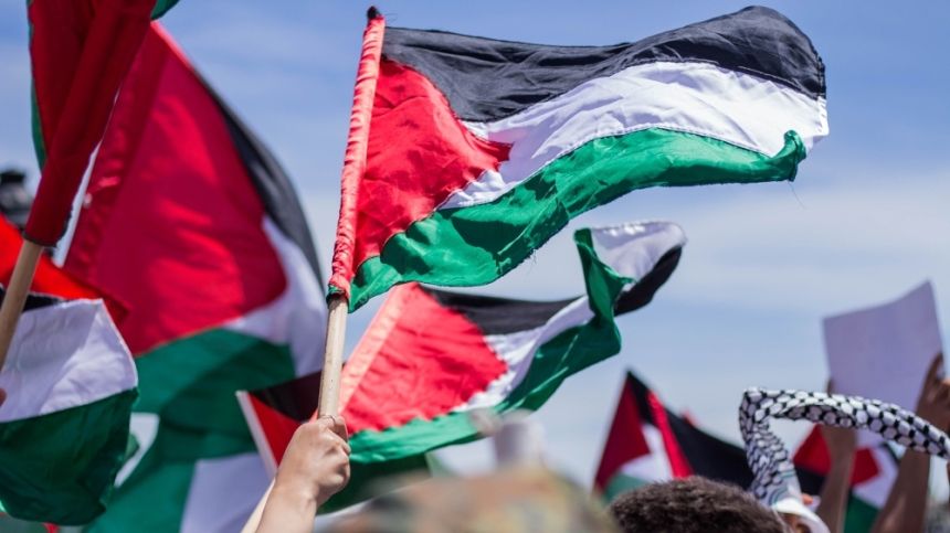 37 مقرراً أممياً لحقوق الإنسان يطالبون العالم بالاعتراف بالدولة الفلسطينية