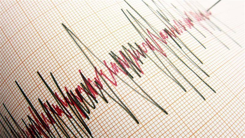 زلزال بقوة 4.7 درجات يضرب جنوب جزر “كرماديك”