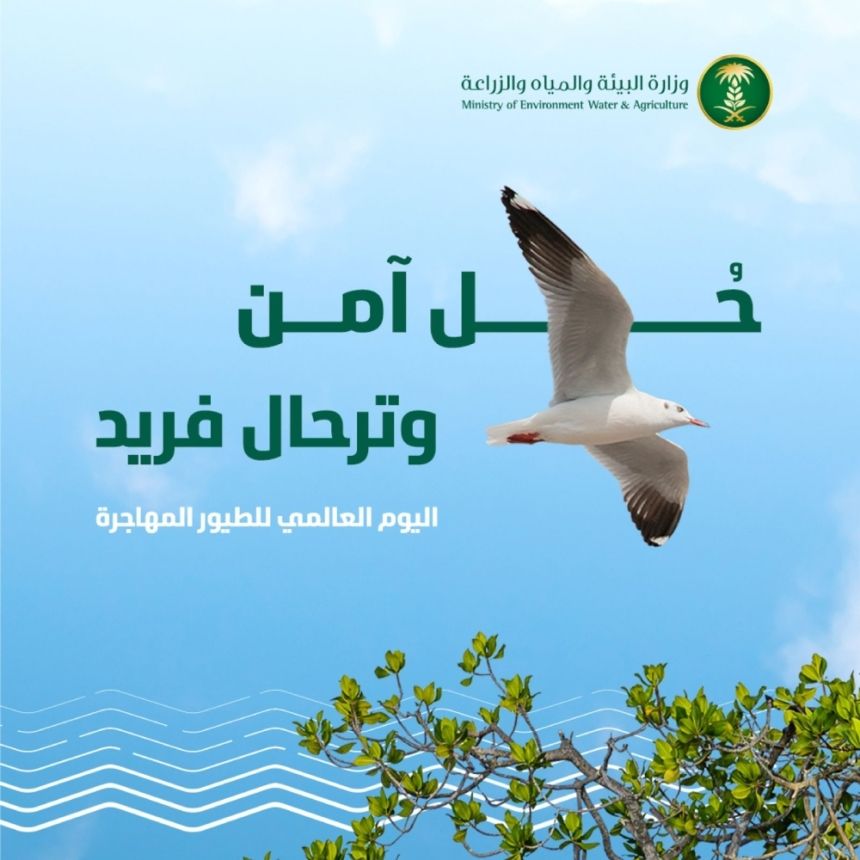 أشهرها القمري.. المملكة تحتضن 27 نوعًا من الطيور المهدّدة بالانقراض