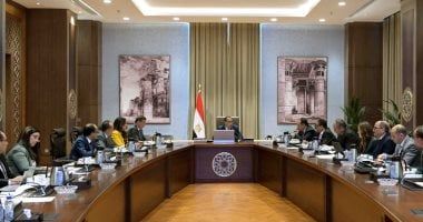 الحكومة تُدبّر التمويل اللازم لشراء الأقطان المصرية
