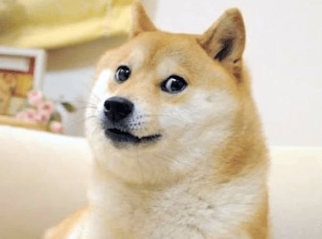هل يمكن أن يصل سعر DOGE إلى 1 دولار؟