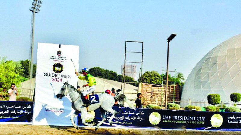 الامارات | «بريق الأمل» بطلاً لكأس رئيس الدولة للخيول العربية في مصر