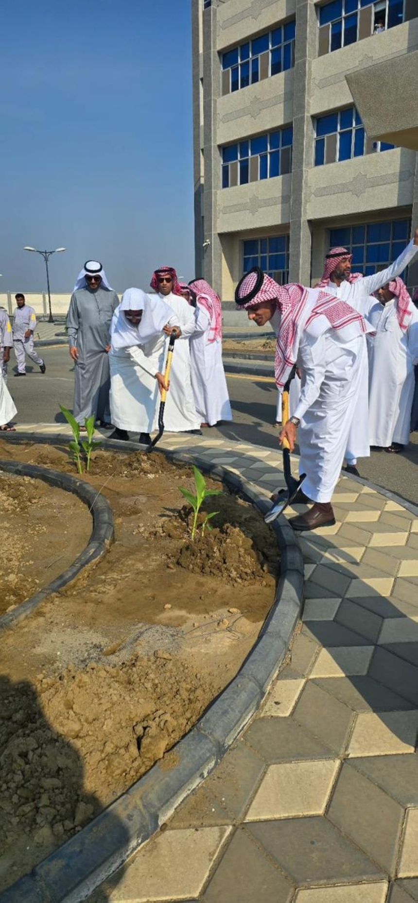 600 شتلة لتزيين محافظات مكة.. حملة تشجير بالجموم والليث والعاصمة المقدسة