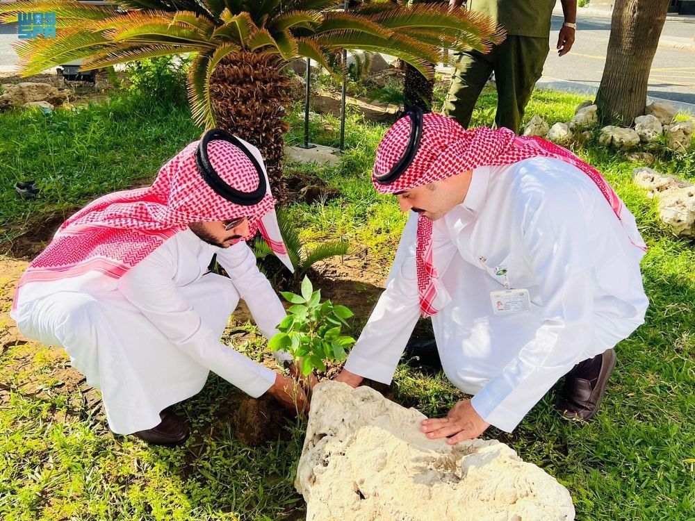 تنمية الغطاء النباتي.. "بيئة مكة" تطلق موسم التشجير 2024
