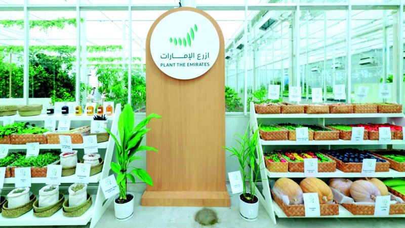 الامارات | شركات ومؤسسات محلية تطلق مبادرات وبرامج لدعم «ازرع الإمارات»