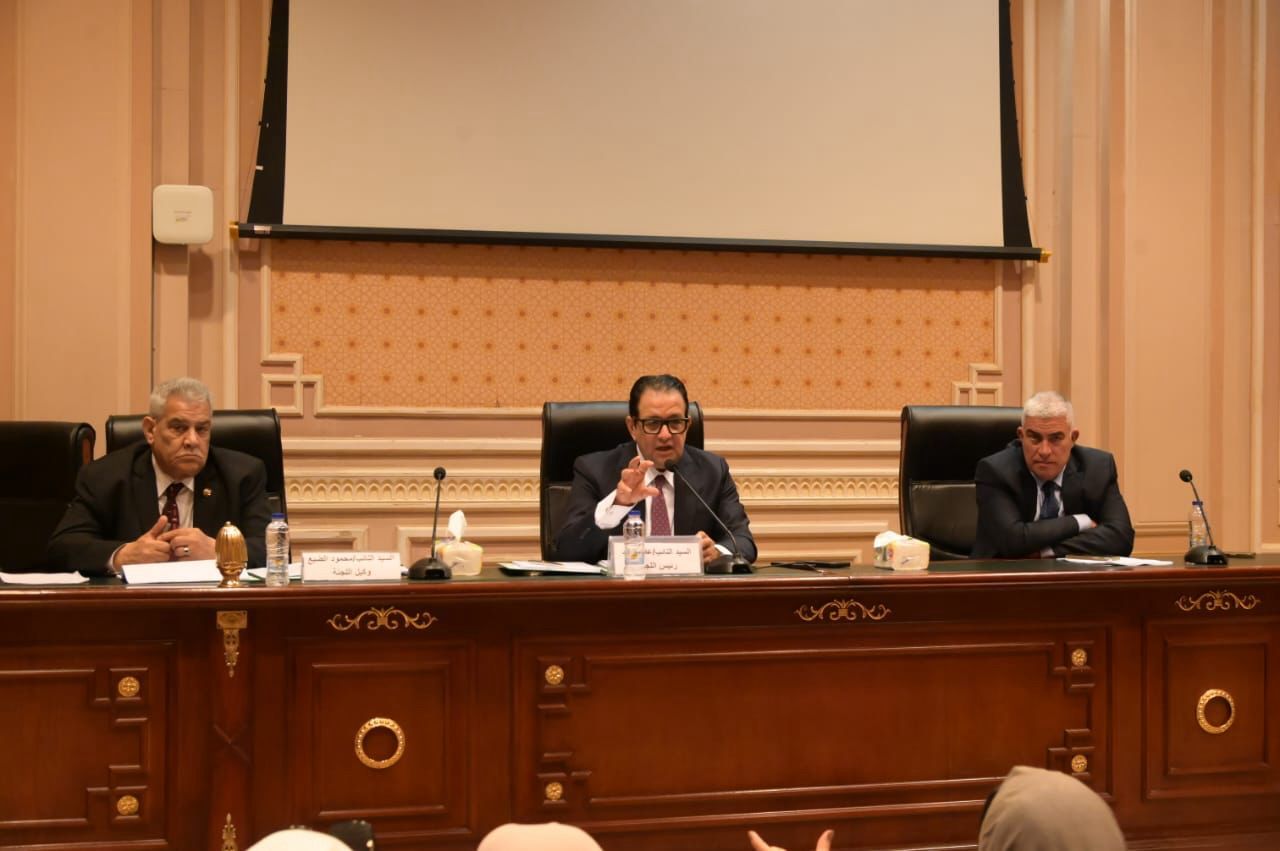 نقل النواب توافق على اتفاقية تمويل لإنشاء الخط الأول للقطار الكهربائى السريع