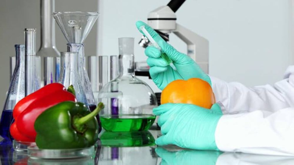 العاصمة المقدسة.. مختبرات الغذاء تحصل على شهادة الـISO لمعايير الجودة