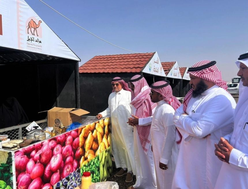 المدينة المنورة.. الحناكية تستضيف المزاد الأول للإبل
