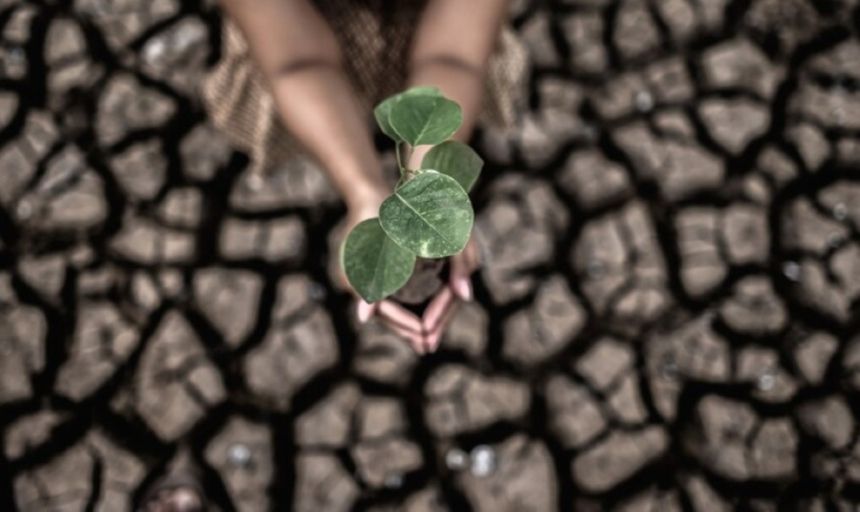 الأمم المتحدة تدعو إلى تكثيف عاجل لجهود التكيف المناخي