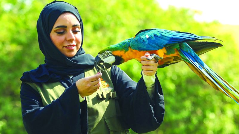 الامارات | 400 حيوان بري تمارس حياتها اليومية بحرية دون أقفاص