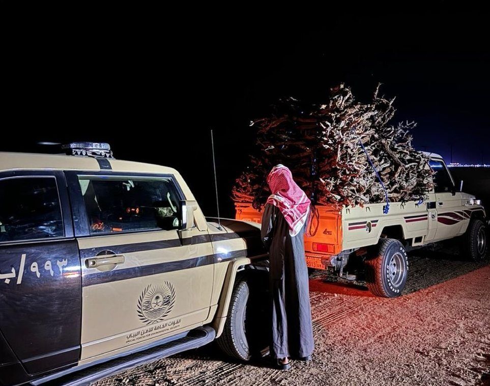 السعودية | “الأمن البيئي” يضبط مواطنًا مخالفًا لنظام البيئة لنقله حطبًا محليًا في محمية الإمام تركي الملكية