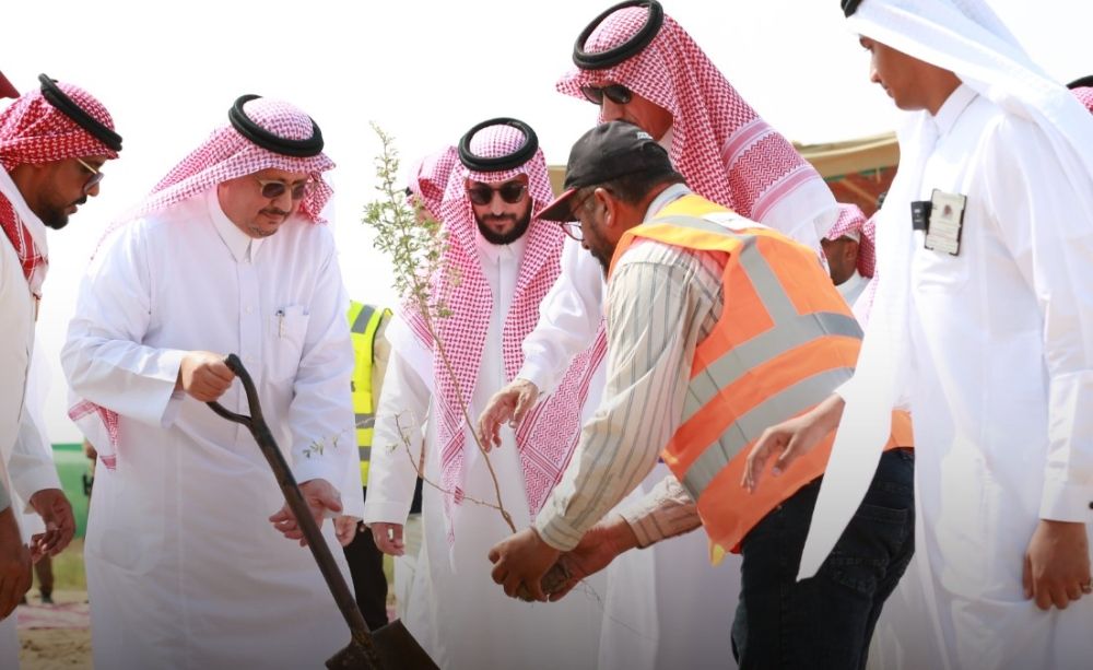 بزراعة 90 ألف شجرة.. "الغطاء النباتي" يُطلق مشروعًا لإعادة تأهيل متنزه حلي البري