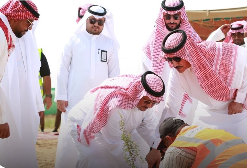 بزراعة 90 ألف شجرة.. "الغطاء النباتي" يُطلق مشروعًا لإعادة تأهيل متنزه حلي البري
