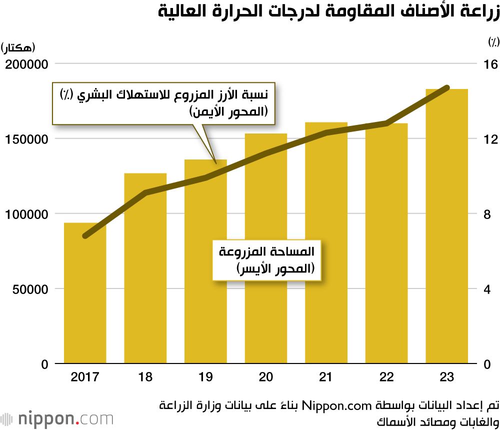 اليابان | في مواجهة التغير المناخي: اليابان تطور أصناف أرز مقاومة للحرارة!