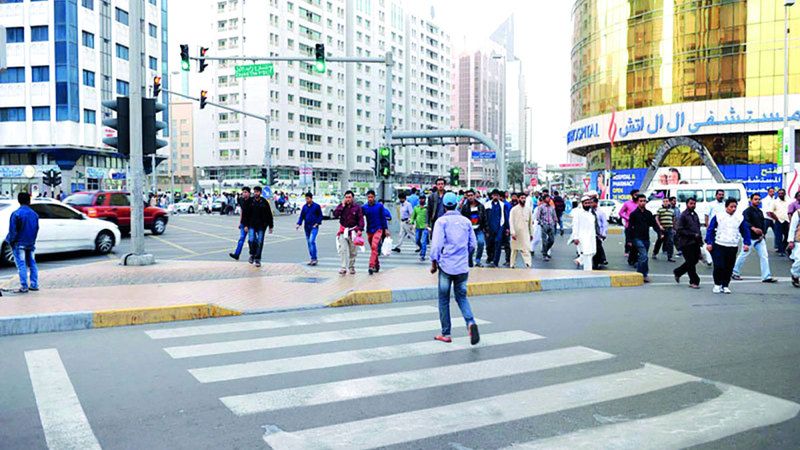 الامارات | سلوكيات سلبية لعابرين على «خطوط المشاة» تربك السائقين وتسبّب حوادث دهس