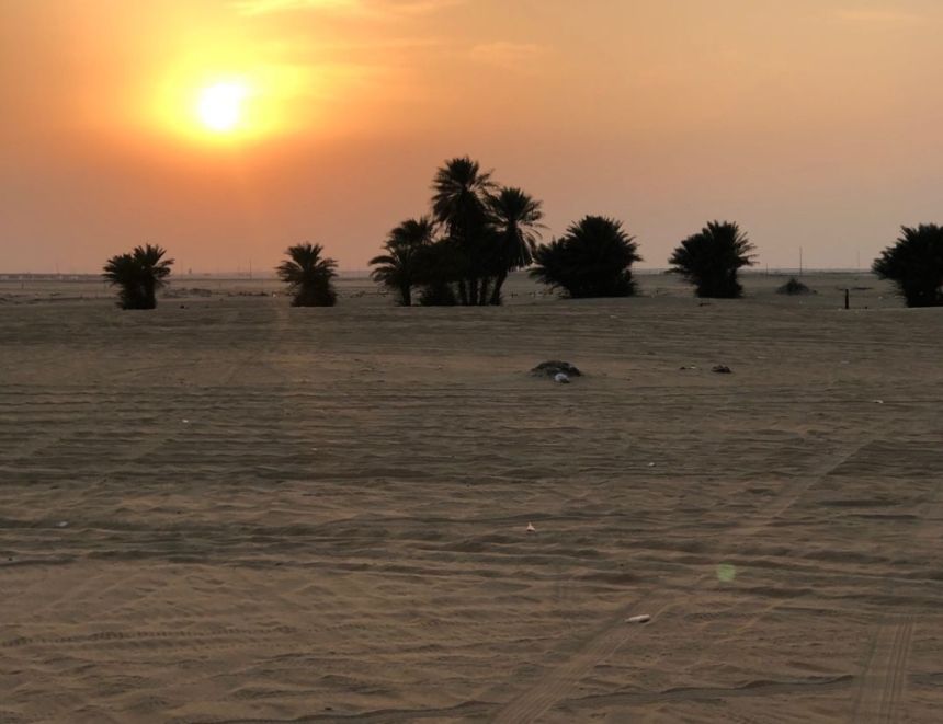 2 ديسمبر.. الرياض تستضيف أكبر اجتماع أممي لمكافحة التصحر