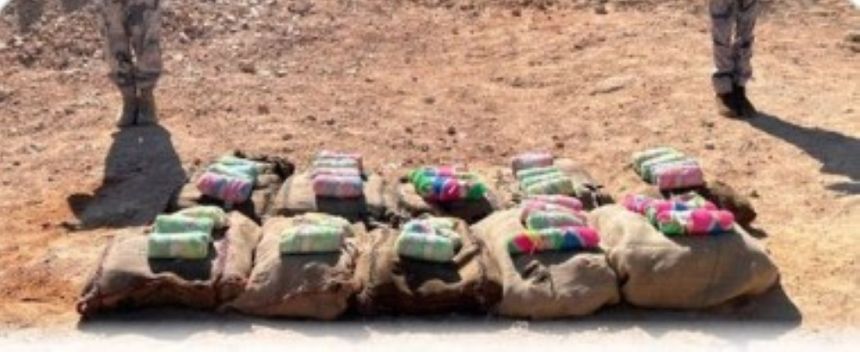 جازان.. القبض على 5 مخالفين لتهريب 270 كيلوجرام من القات المخدر