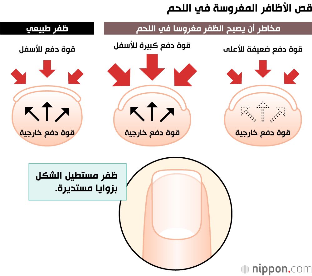 اليابان | «صنع في اليابان»... شركة رائدة في صناعة الأدوات الحادة تضع بصمتها في عالم مقصات الأظافر
